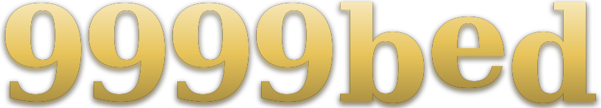 9999bed logo